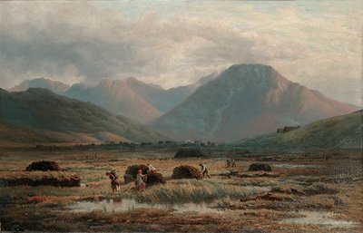 Veenmoeras, Letterfrack, Connemara door Bartholomew Colles Watkins