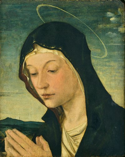 Hoofd en handen van een aanbiddende Madonna (Fragment), ca.1477-78 (tempera op populierenhout) door Bartolomeo Montagna