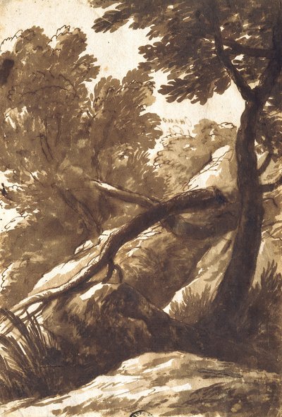 Boslandschap door Bartolomeo Torregiani