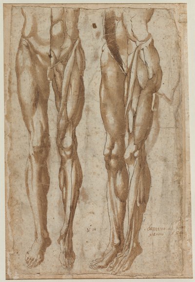Twee Studies van een Gevild Man (recto) door Bartolommeo da Arezzo