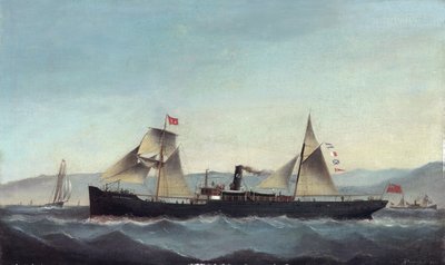 S.S. Glanrheidol door Basi Ivancovich