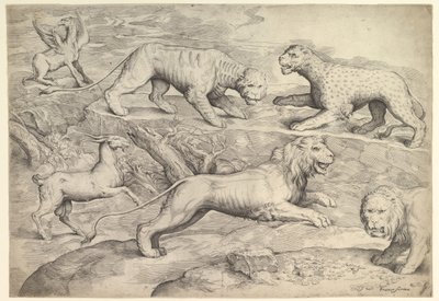 Zes dieren, waaronder leeuwen, een tijger, een luipaard, een griffioen en een geit, ca. 1530-61 door Battista Franco Veneziano