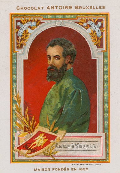 Andres Vesalius, 16e eeuwse Vlaamse anatoom en arts door Belgian School