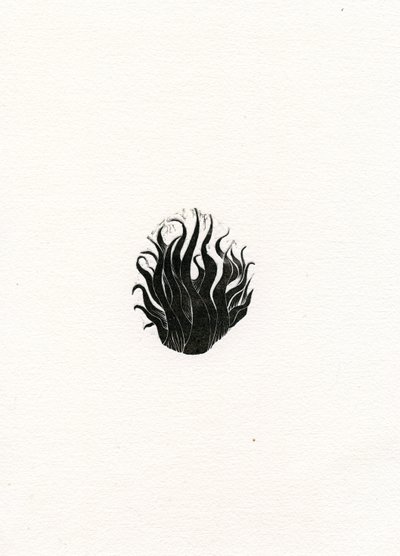 Vuur door Bella Larsson