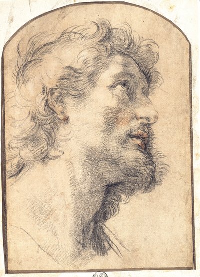 Studie van het Hoofd van Sint Crispijn door Benedetto Luti