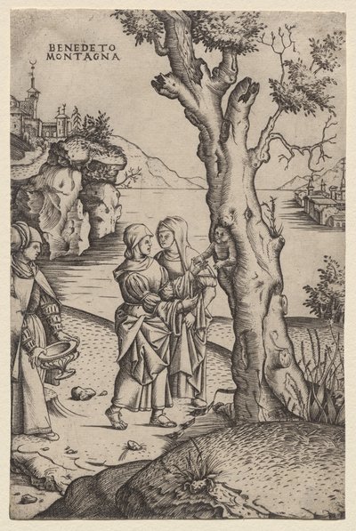 Geboorte van Adonis (uit de serie: De Metamorfosen) door Benedetto Montagna