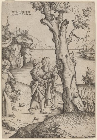 Geboorte van Adonis door Benedetto Montagna
