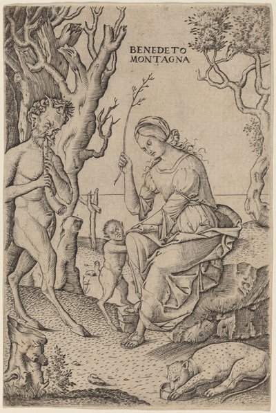 Satyr Familie door Benedetto Montagna