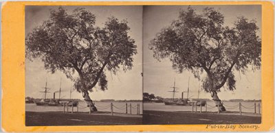 Wilgenboom. Geplant door Com. Perry en andere overlevenden van de slag bij Lake Erie, om de begraafplaats van de gesneuvelden te markeren. door Benedict