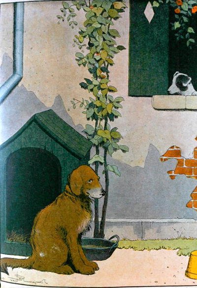 Hond, illustratie uit 