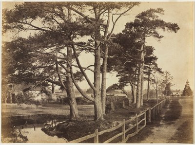 Schotse Dennen, Hawkhurst door Benjamin Brecknell Turner