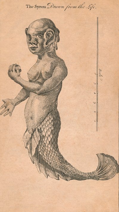 De Sirene getekend uit het leven door Benjamin Cole