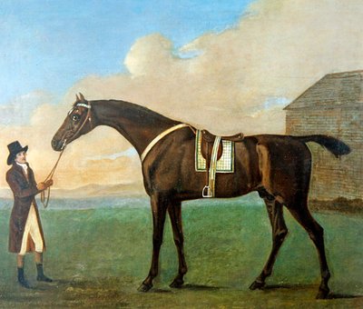 Een Staljongen die de Teugels van een Renpaard 