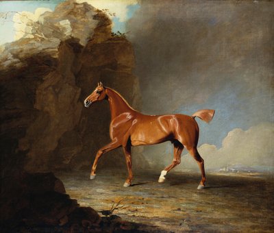 Een Gouden Kastanjebruin Renpaard bij een Rotsformatie, 1800 door Benjamin Marshall
