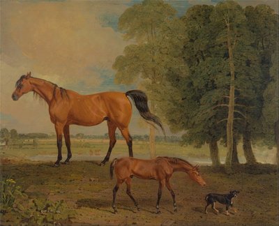 Broodmare met veulen en een terriër door Benjamin Marshall