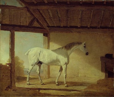 Het paard van de graaf van Coventry door Benjamin Marshall