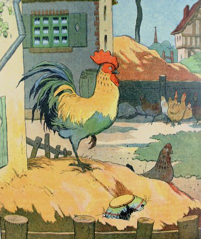 De haan, illustratie uit 