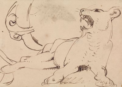Studie van een Leeuwin door Benjamin Robert Haydon