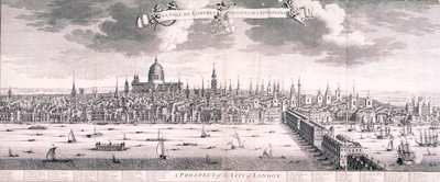 Panoramisch uitzicht op Londen door Benjamin Smith
