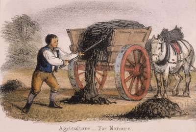 Landbouw, voor Mest, c1845 door Benjamin Waterhouse Hawkins