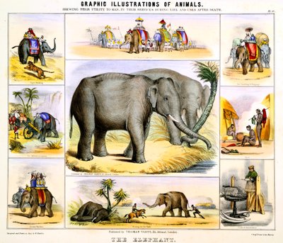 De Olifant, ca. 1850 door Benjamin Waterhouse Hawkins