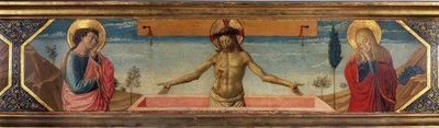 Onbekend schilderij door Benozzo di Lese di Sandro Gozzoli