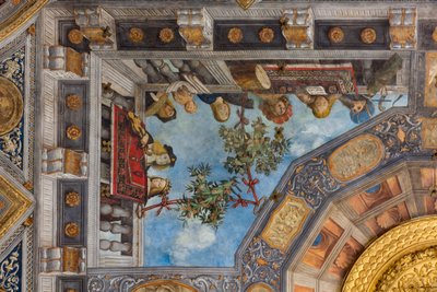 Een kat, muziekinstrumenten en mannelijke en vrouwelijke figuren, detail, gewelf van de Schatkamer (detail) door Benvenuto Tisi da Garofalo