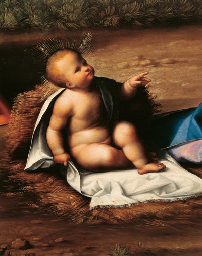 Baby Jezus (detail) door Benvenuto Tisi da Garofalo
