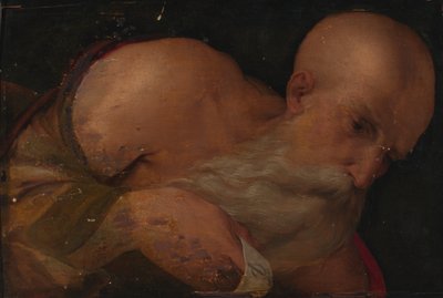Portret van een man door Benvenuto Tisi da Garofalo