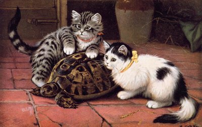 Katten ansichtkaart door Bernard Cobbe