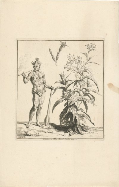 Tabaksplant en oorspronkelijke bewoner van Amerika door Bernard Picart (workshop of)