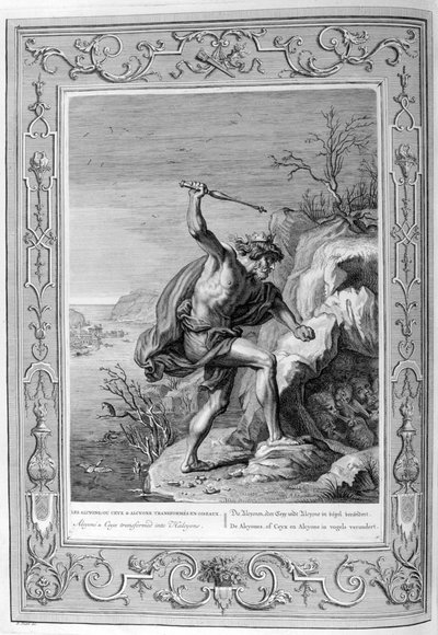 Alcyone en Ceyx veranderd in vogels, 1733 door Bernard Picart