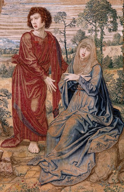Vlaams wandtapijt. Serie Baldakijn van Karel V (Baldakijn van Margaretha van Oostenrijk). Christus van Barmhartigheid (Cristo de la Misericordia). Wandtapijt paneel achter het baldakijn. Model Bernard van Orley (1491-1542). Fabriek Pieter de Pannemaker, Br door Bernard van Orley