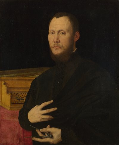 Portret van een muzikant, c. 1565 door Bernardino Campi
