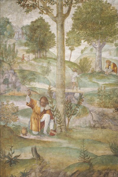 Cephalus Verbergt de Juwelen door Bernardino Luini