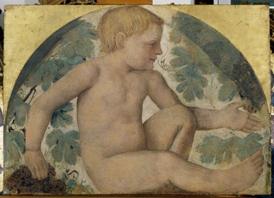Oogstende putti - Putto onder een prieel, ca. 1514 door Bernardino Luini