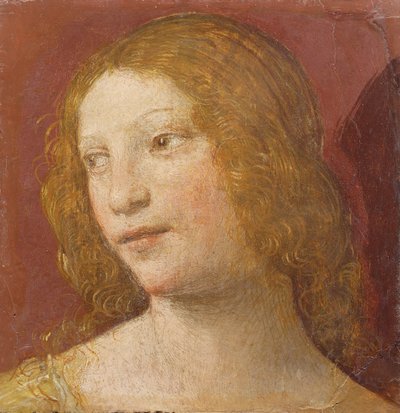 Hoofd van een jonge vrouw door Bernardino Luini
