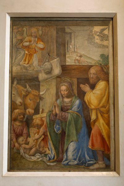 Geboorte en aanbidding van de herders, c. 1520-1525 door Bernardino Luini