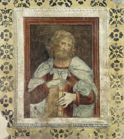 Profeet door Bernardino Luini