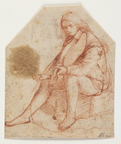 Zittende jongeling met viool door Bernardino Luini