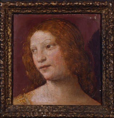 Het Hoofd van een Engel - een fragment door Bernardino Luini