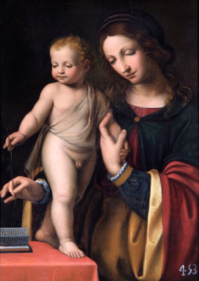 De Maagd met het Staande Kind door Bernardino Luini