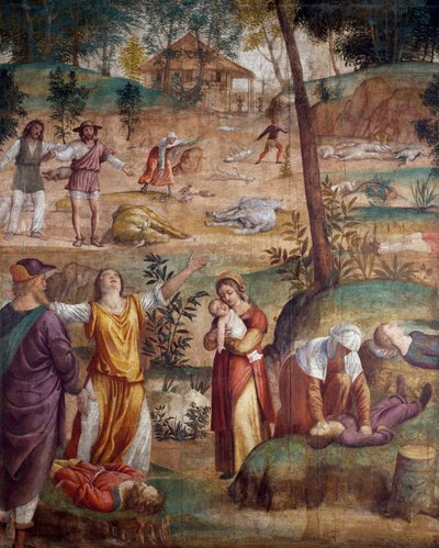 De dood van de eerstgeborene, door Bernardino Luini, fresco overgebracht op hout door Bernardino Luini