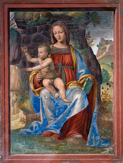 Maagd en Kind, fresco door Bernardino Luini (ca 1480-ca 1532), in Lavabo Kamer of Sacristie, Lombardije, Italië door Bernardino Luini