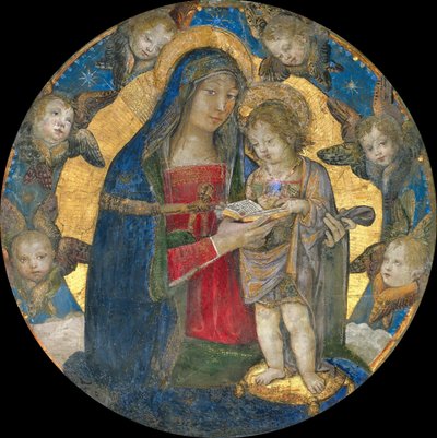 Madonna en Kind met Cherubijnen, 1492-1495 door Bernardino Pinturicchio