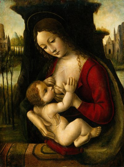 Madonna en Kind door Bernardino de