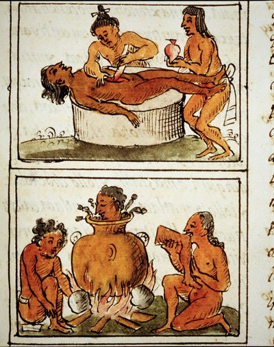 Menselijke offers en kannibalisme van de Azteken. Manuscript door Bernardino Sahagun door Bernardino de Sahagun