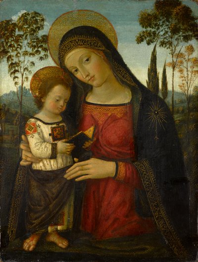 Madonna en kind, circa 1490-1495 door Bernardino di Betto Pinturicchio