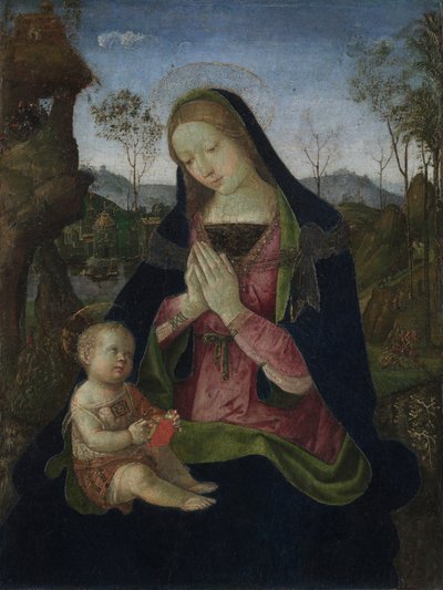 Maagd en Kind, ca. 1490-1500 door Bernardino di Betto Pinturicchio