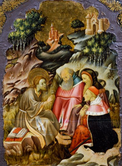Prediking van Johannes de Doper, detail van de predella van een altaarstuk uit de kathedraal van Vic, door Bernat Martorell, geschilderd op hout. Catalaanse gotische kunst. door Bernardo Martorell